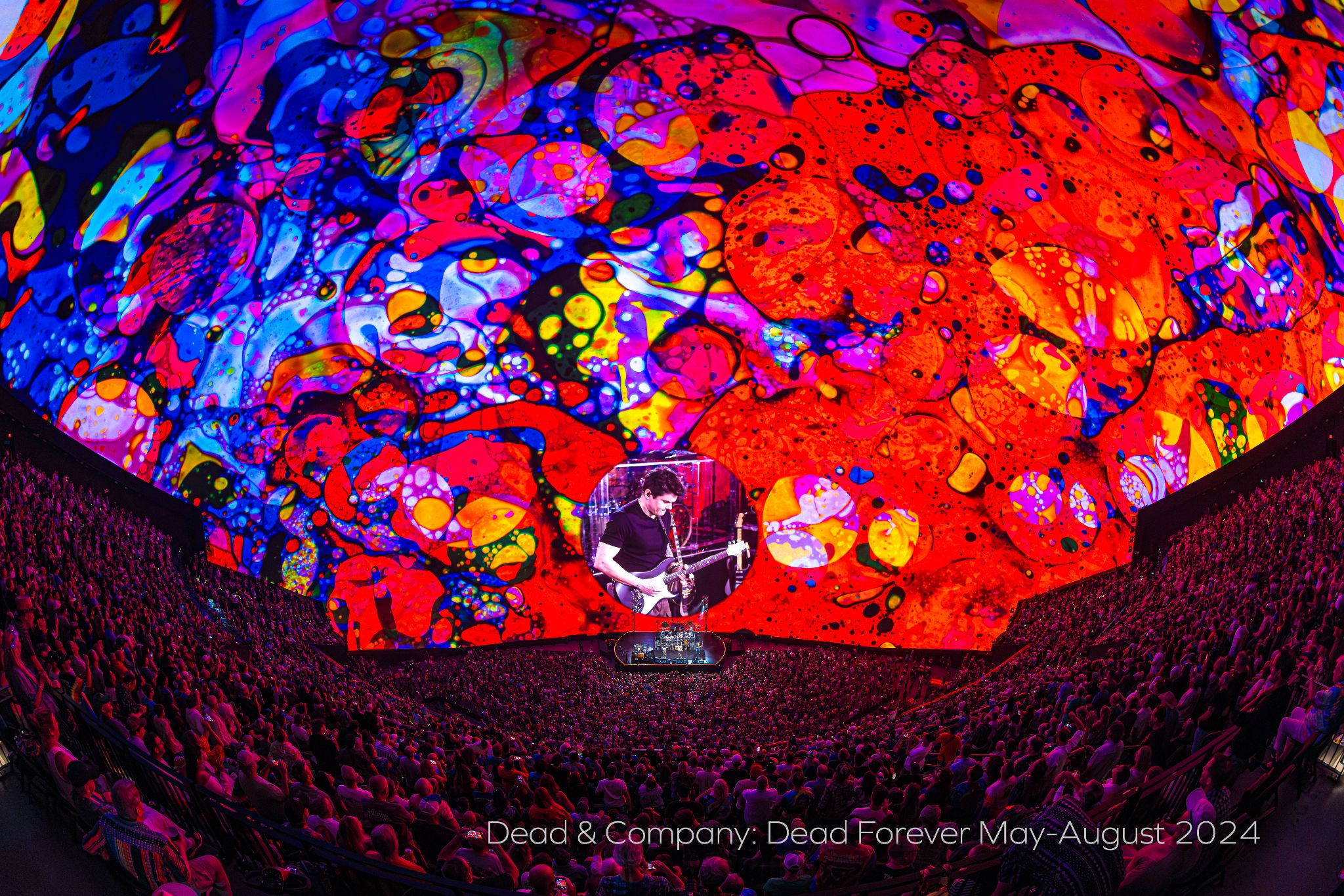 grateful dead at the sphere